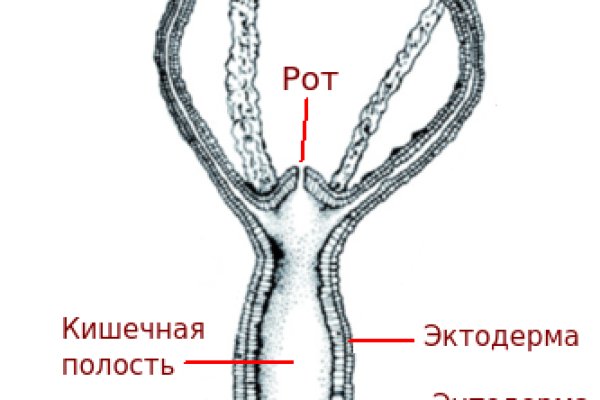 Кракен сайт что