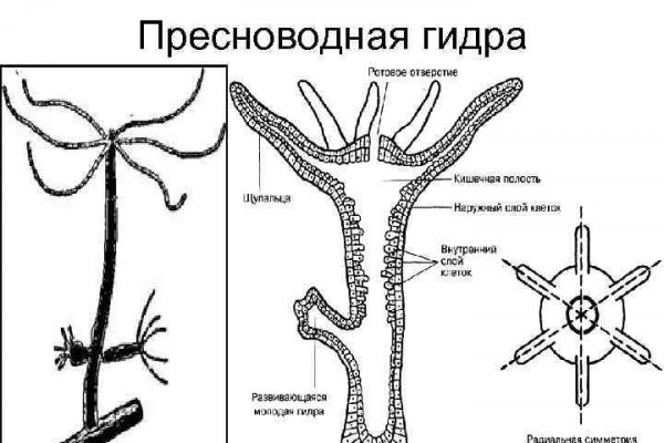 Kraken market ссылка тор