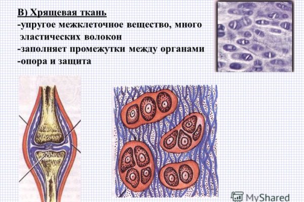 Как найти настоящую кракен даркнет ссылку